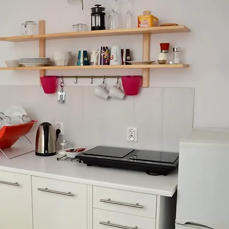 아파트 Apartament Zydowska *