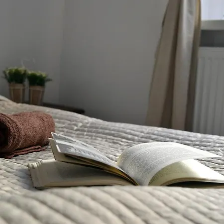 아파트 Apartament Zydowska 포즈난