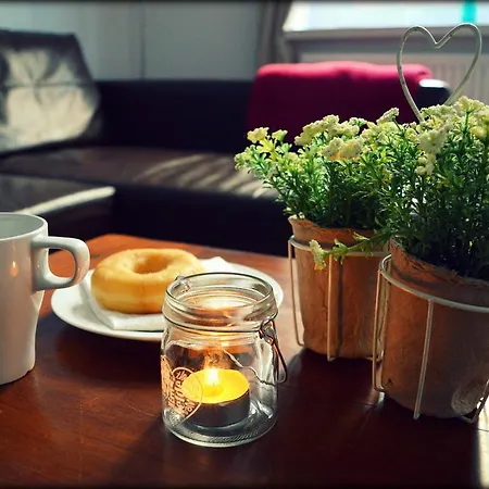 Apartament Zydowska Apartment Poznan