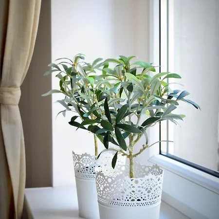 Apartament Zydowska Apartment